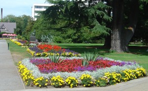 Botanic Gardens - Rolleston Avenue lawn