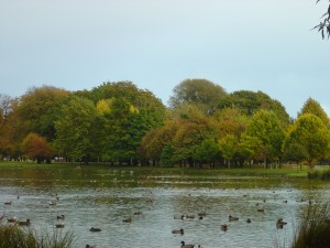 South Hagley Park 