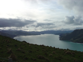 Back up Akaroa Harbour 